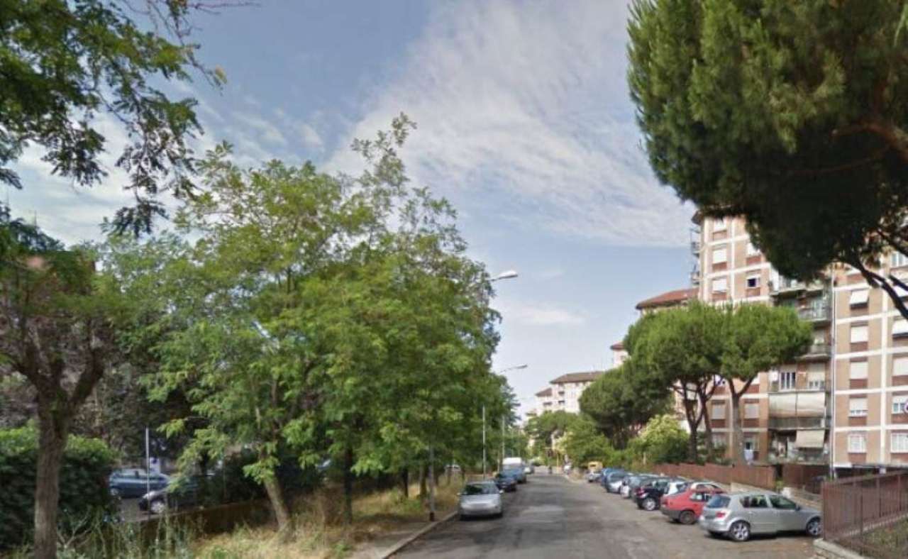 Appartamento ROMA vendita   Via angiolo cassioli DG Immobiliare