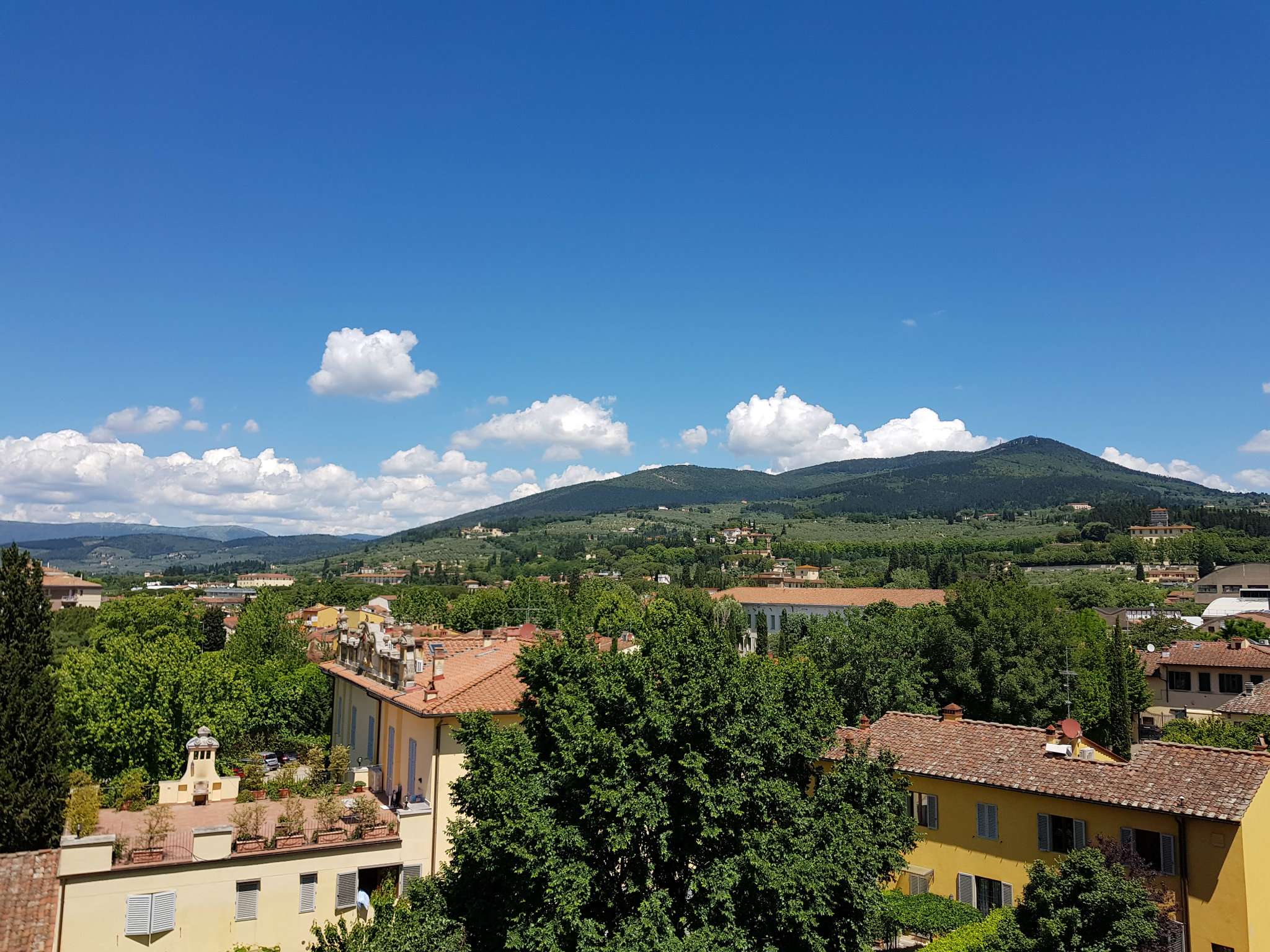  firenze affitto quart: castello immobiliare 1984