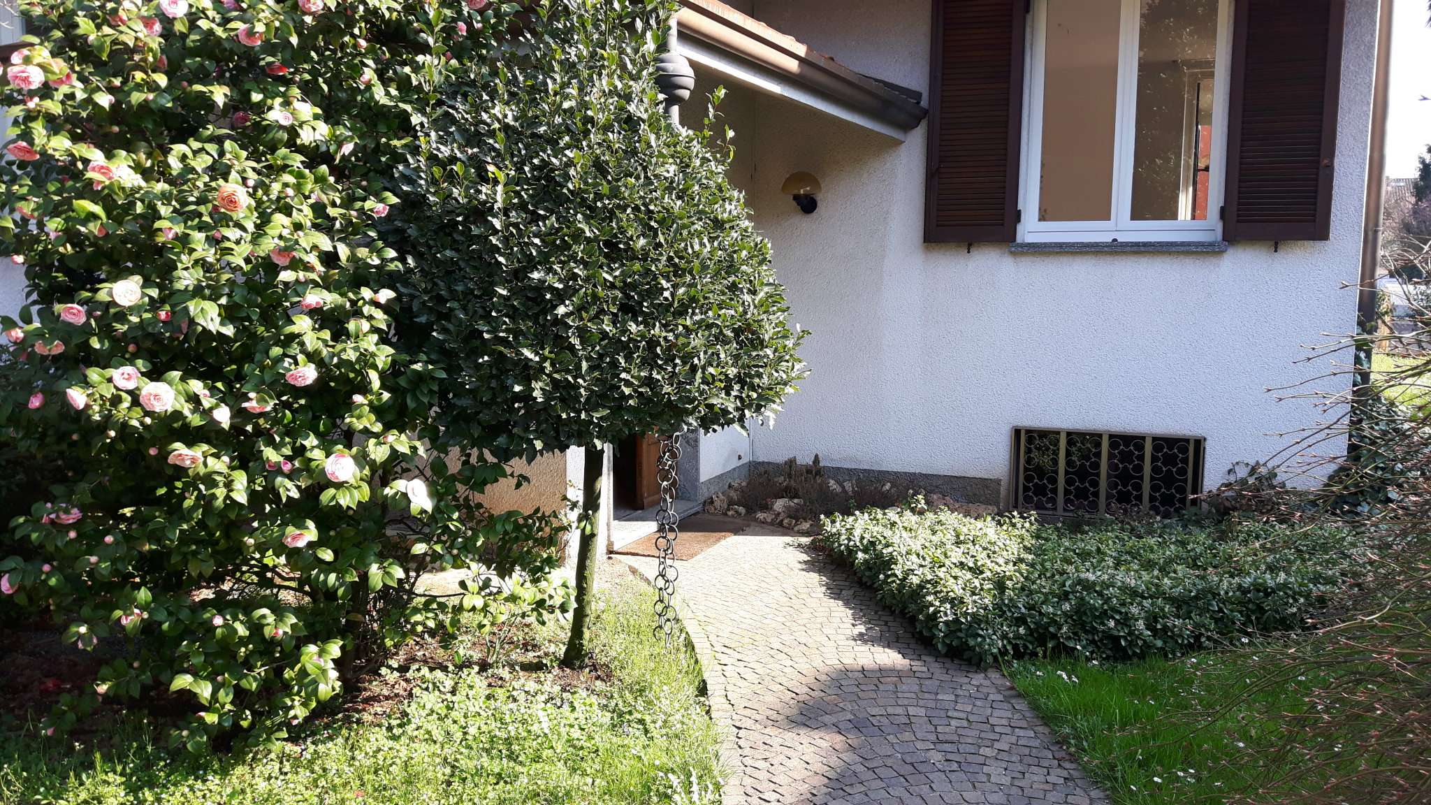 Villa NOVEDRATE vendita   via Puccini gruppo servizi imm.ri s.a.s.