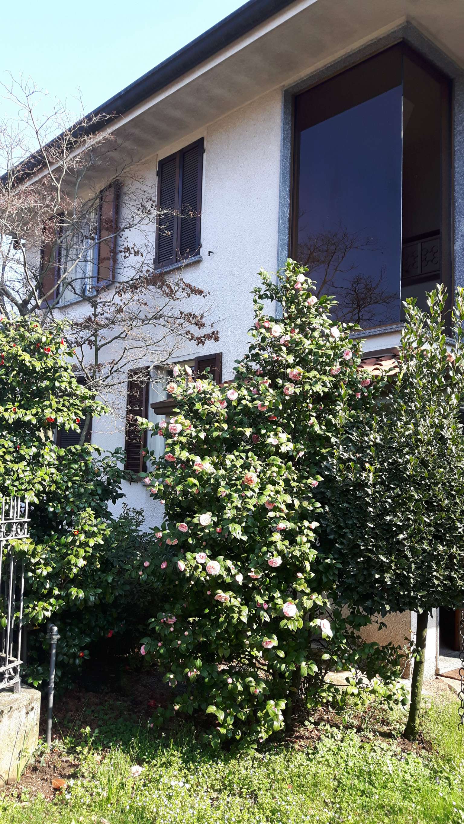 Villa NOVEDRATE vendita   via Puccini gruppo servizi imm.ri s.a.s.