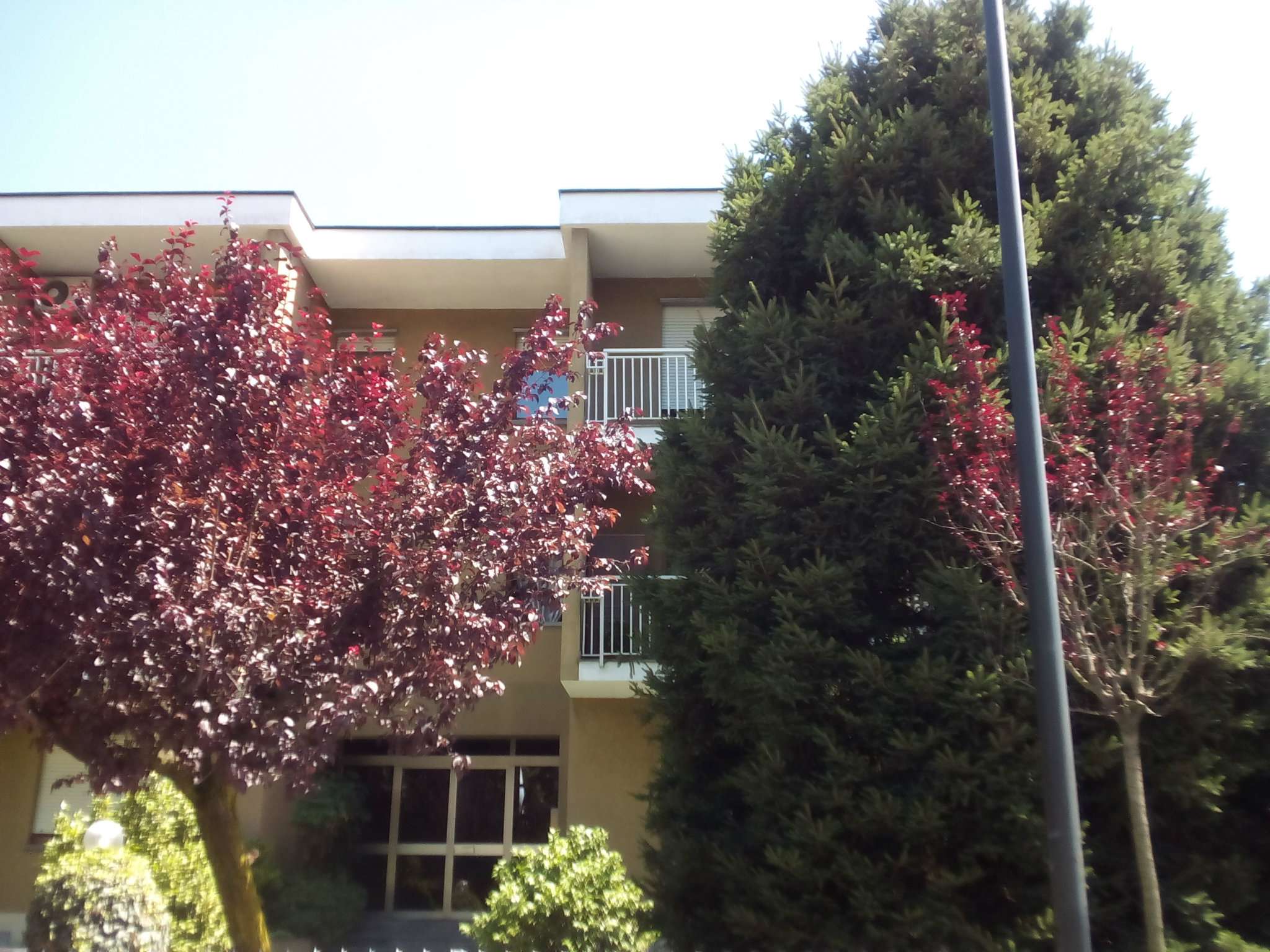 Appartamento SETTIMO TORINESE vendita   REGIO PARCO FG di Ferrero Grazia