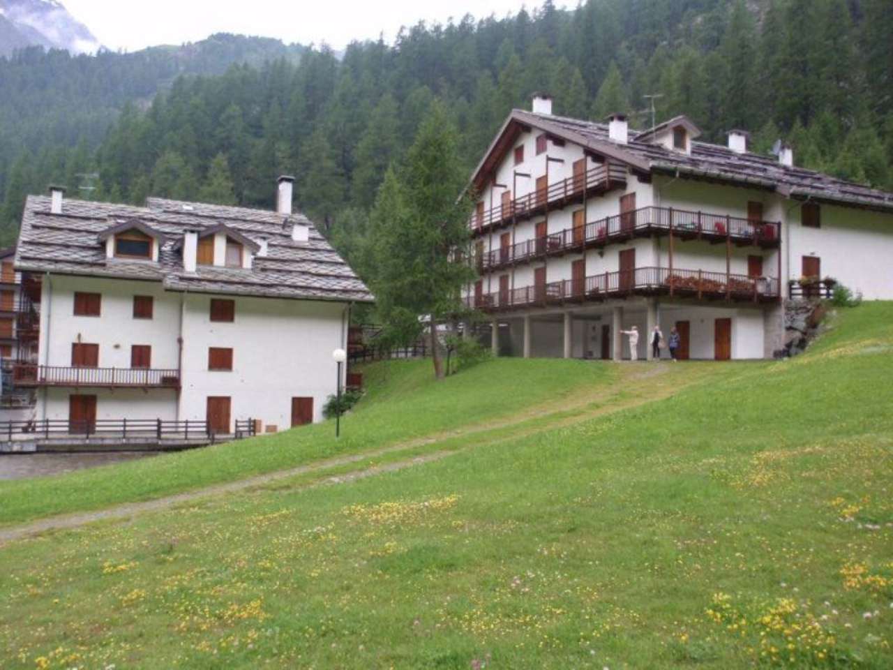 Appartamento GRESSONEY-LA-TRINITÈ vendita   Località Staffal Immo Torino