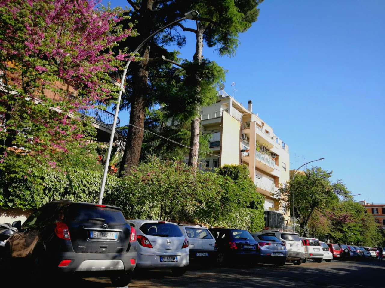Appartamento ROMA vendita  TALENTI di Montesacro Anteprima Immobiliare S.R.L.