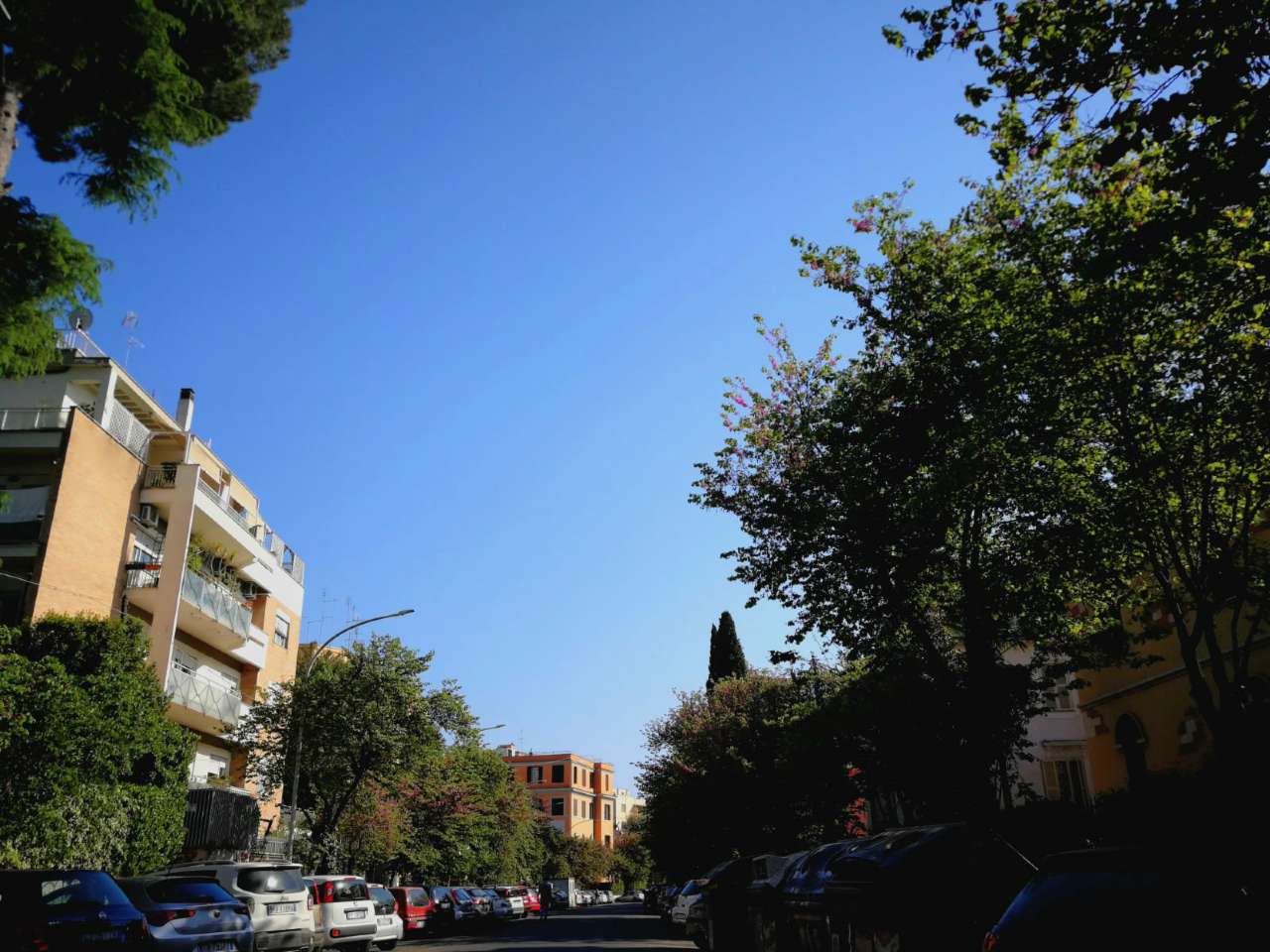 Appartamento ROMA vendita  TALENTI di Montesacro Anteprima Immobiliare S.R.L.