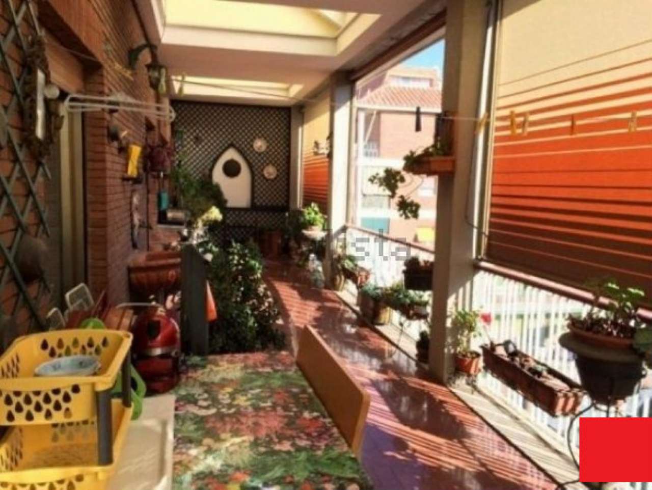 Attico ROMA vendita  TALENTI Luciano Zuccoli Anteprima Immobiliare S.R.L.