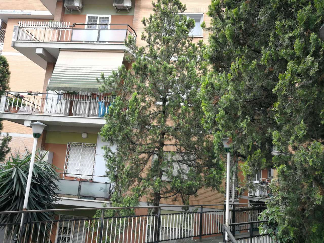 Appartamento ROMA vendita  NUOVO SALARIO dei Prati Fiscali Anteprima Immobiliare S.R.L.