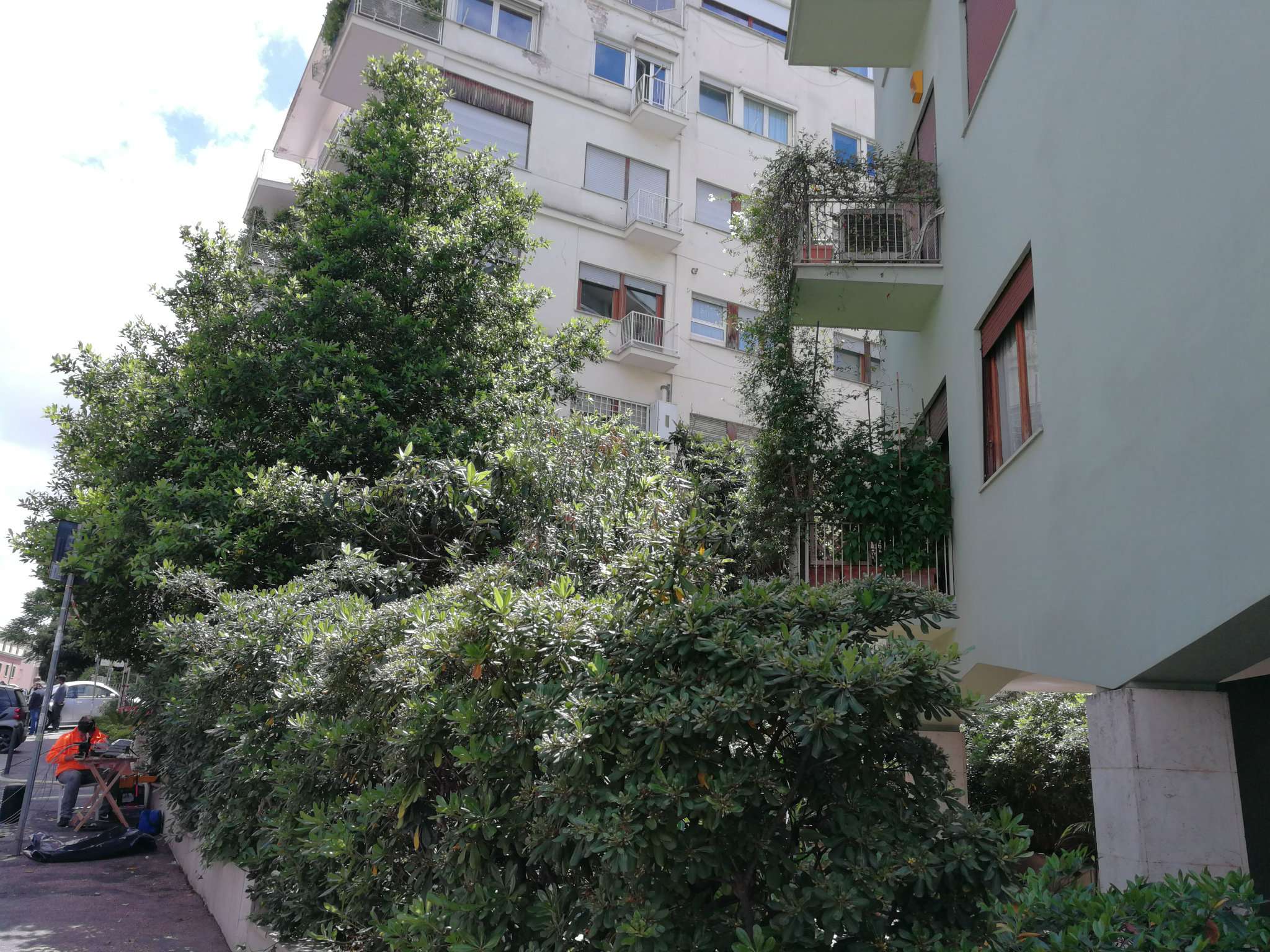  roma vendita quart: parioli  anteprima immobiliare s.r.l.