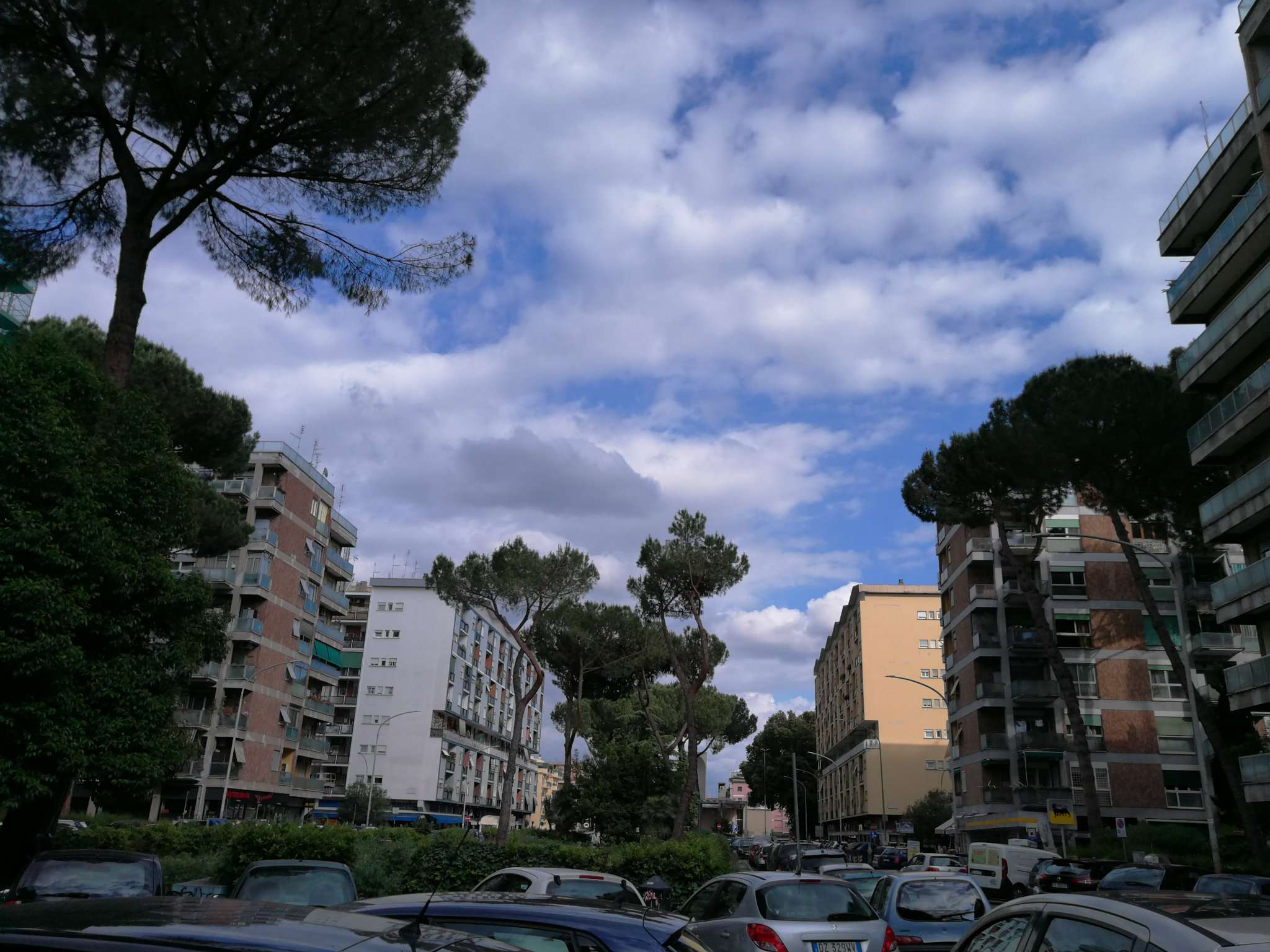 Appartamento ROMA vendita  TALENTI Conca d'Oro Anteprima Immobiliare S.R.L.