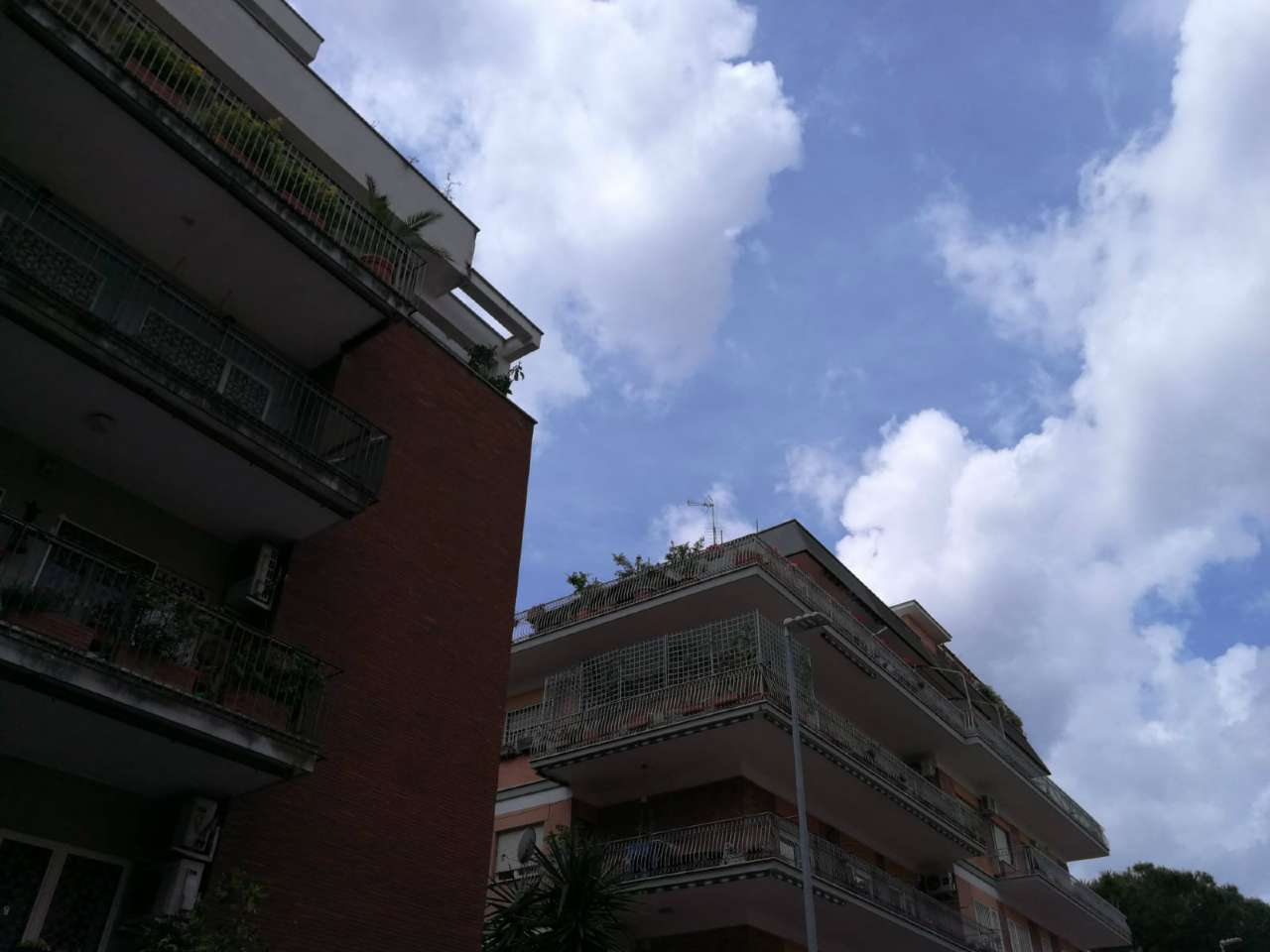 Attico ROMA vendita  TALENTI Fogazzaro Anteprima Immobiliare S.R.L.
