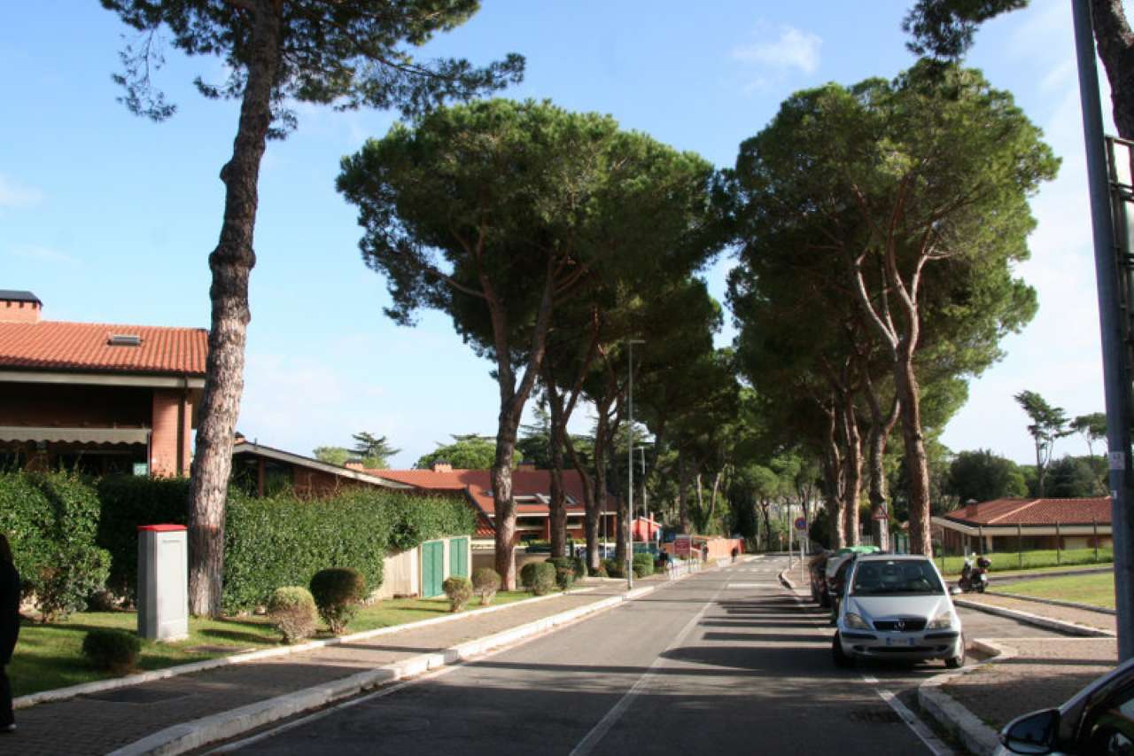 Appartamento ROMA vendita  Cassia flaminia Vicolo di Quarto Peperino CENTROSI SRL