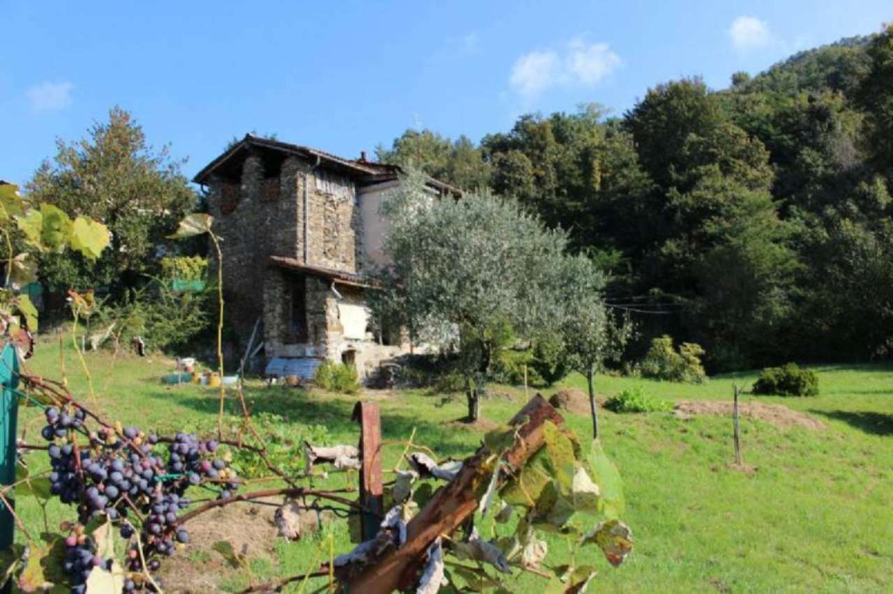 Villa Unifamiliare - Indipendente MONTEGRINO VALTRAVAGLIA vendita    Genardis