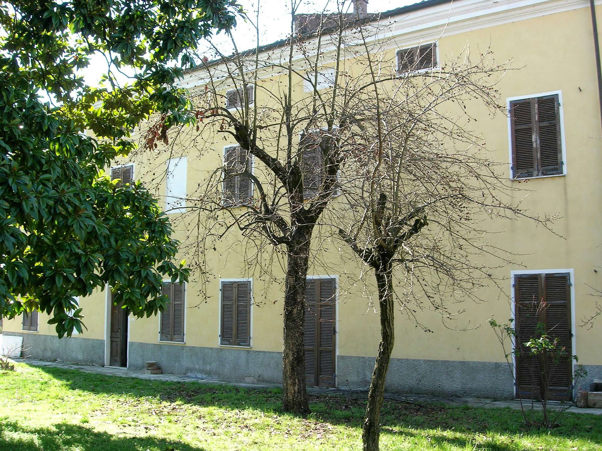 Villa Unifamiliare - Indipendente CASALE MONFERRATO vendita   SP 31 Alpicase1990