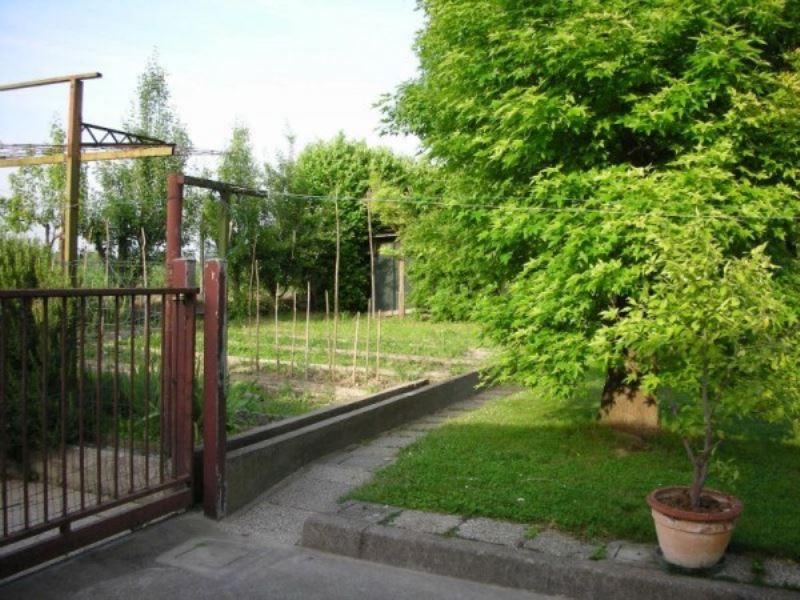 Villa Unifamiliare - Indipendente CAMPOLONGO MAGGIORE vendita    Agenzia Immobiliare Legnaro