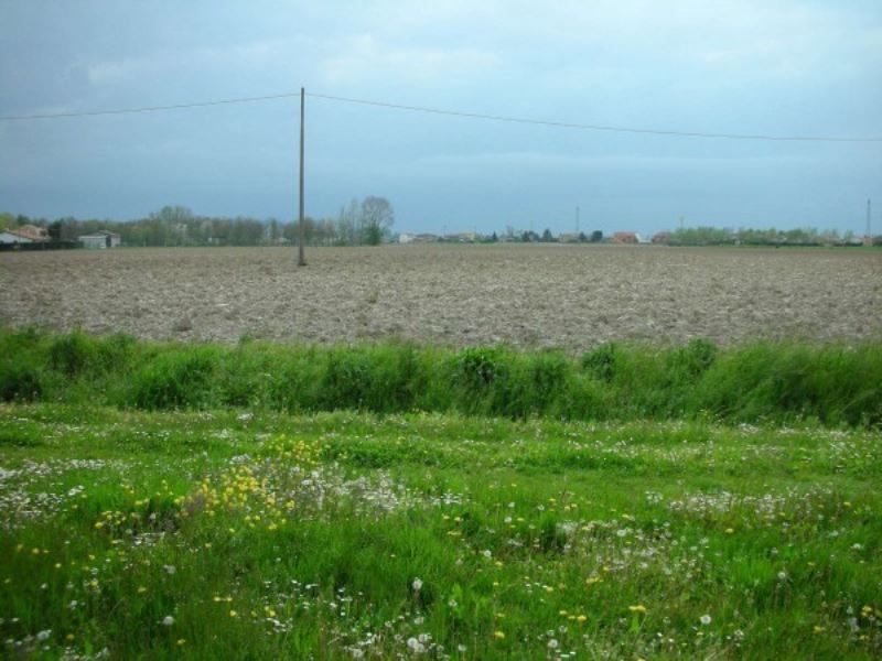 Rustico - Cascina BRUGINE vendita    Agenzia Immobiliare Legnaro
