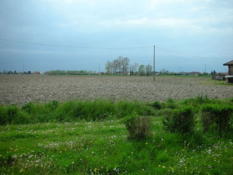 Rustico - Cascina BRUGINE vendita    Agenzia Immobiliare Legnaro