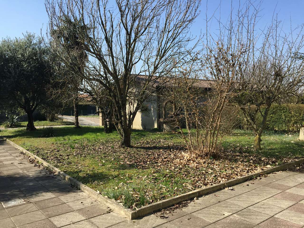 Villa Unifamiliare - Indipendente CAMPAGNA LUPIA vendita   roma Agenzia Immobiliare Legnaro