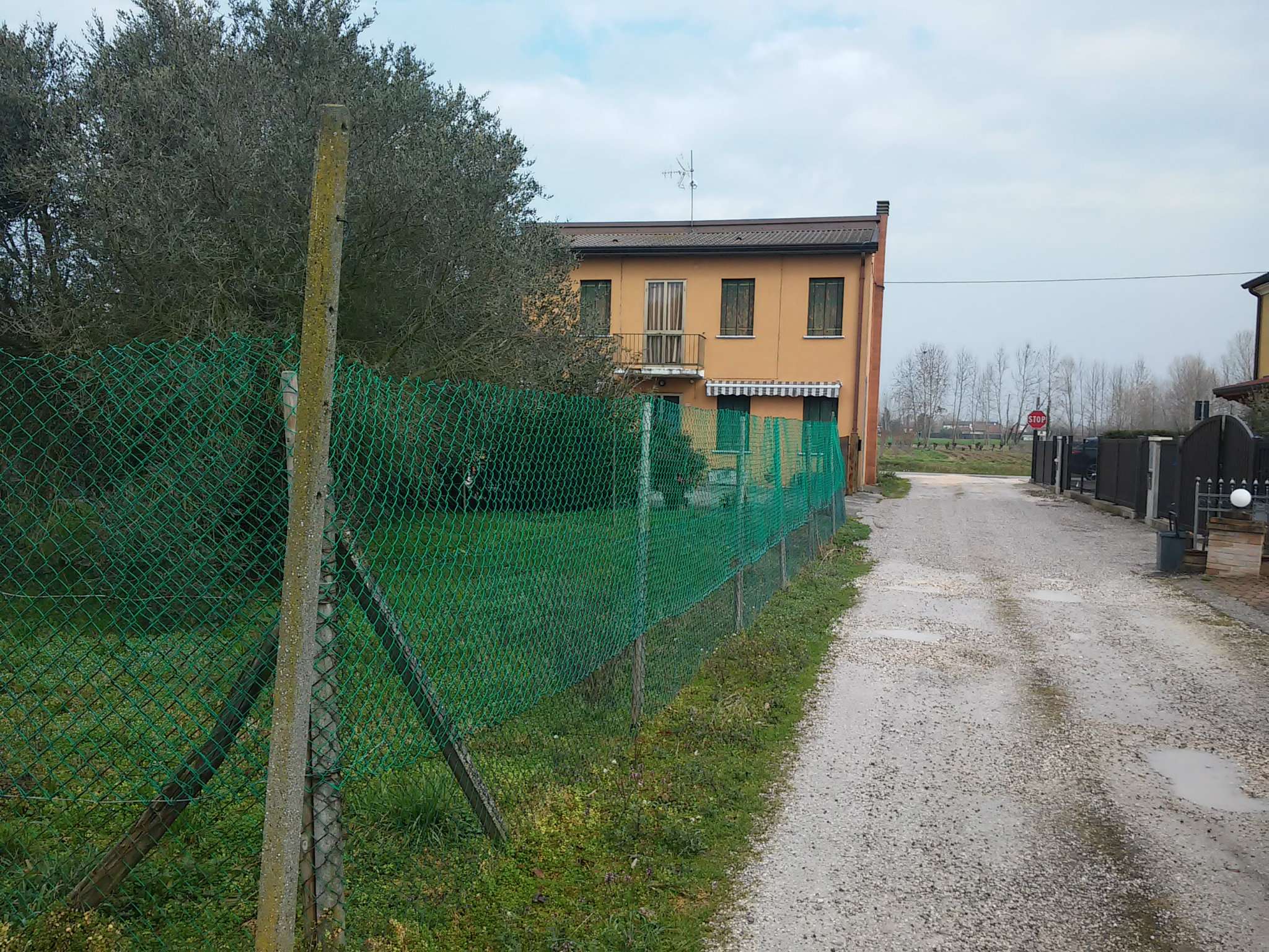 Villa Unifamiliare - Indipendente POLVERARA vendita   Roma Agenzia Immobiliare Legnaro