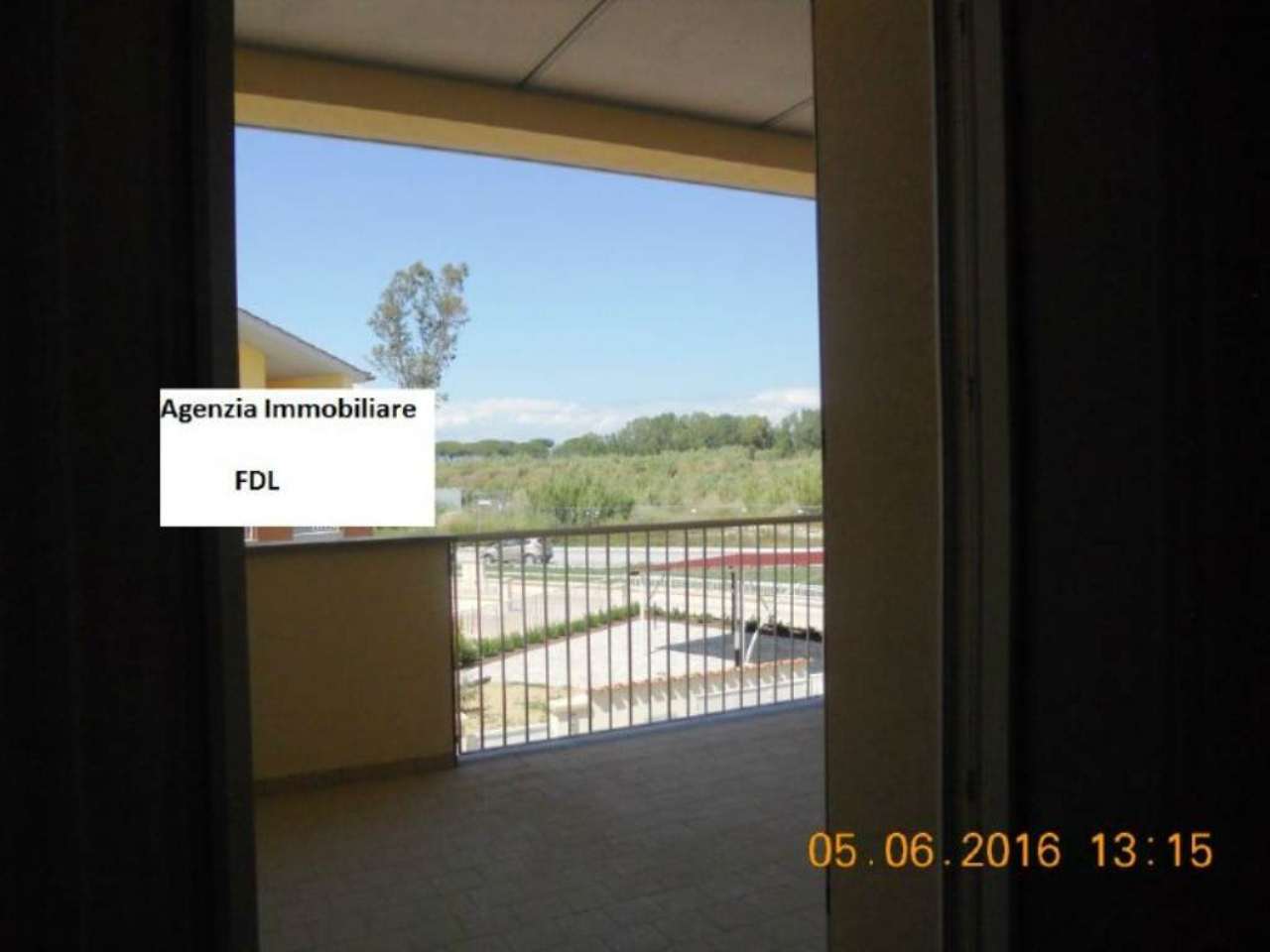 Appartamento CASTAGNETO CARDUCCI vendita   delle palme agenzia immobiliare fdl