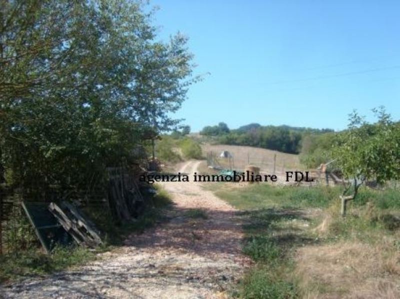 Rustico - Cascina CASCIANA TERME LARI vendita   Gioacchino Salvetti agenzia immobiliare fdl