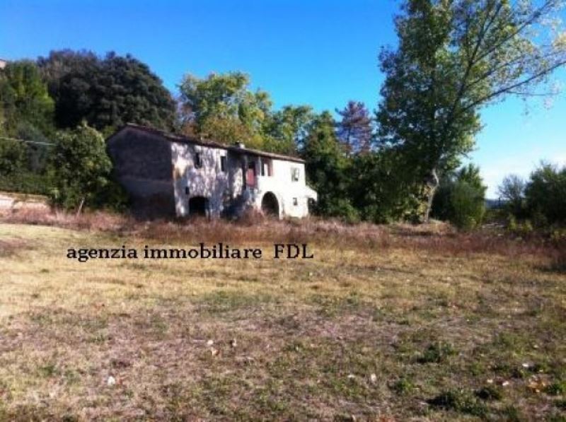  capannoli vendita quart:  agenzia-immobiliare-fdl