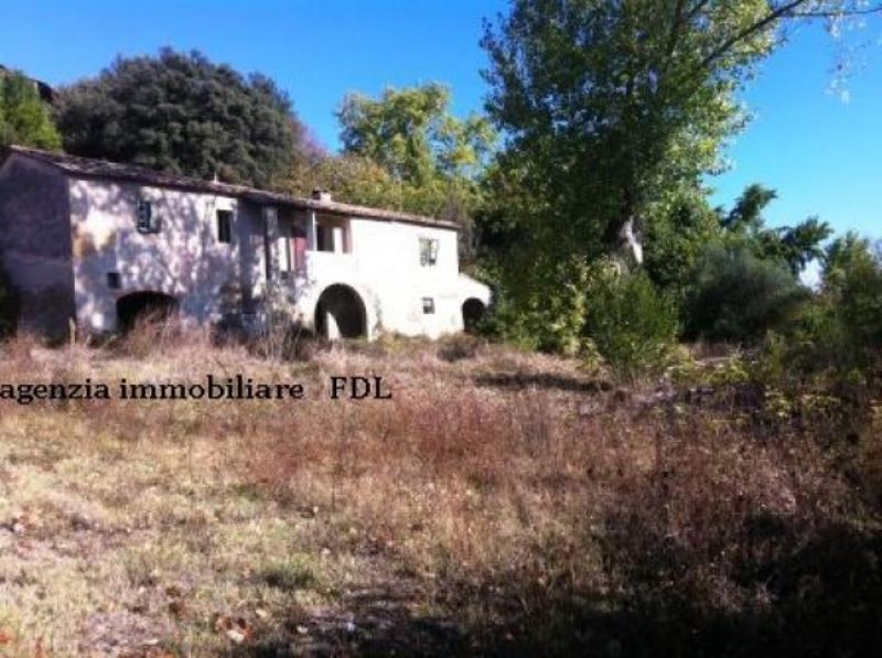 Rustico - Cascina CAPANNOLI vendita   SR439 agenzia immobiliare fdl