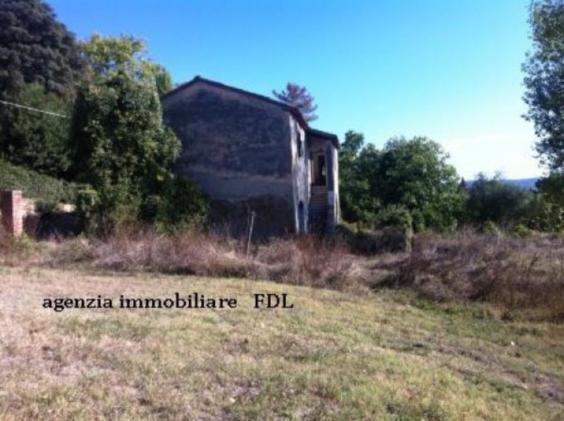 Rustico - Cascina CAPANNOLI vendita   SR439 agenzia immobiliare fdl