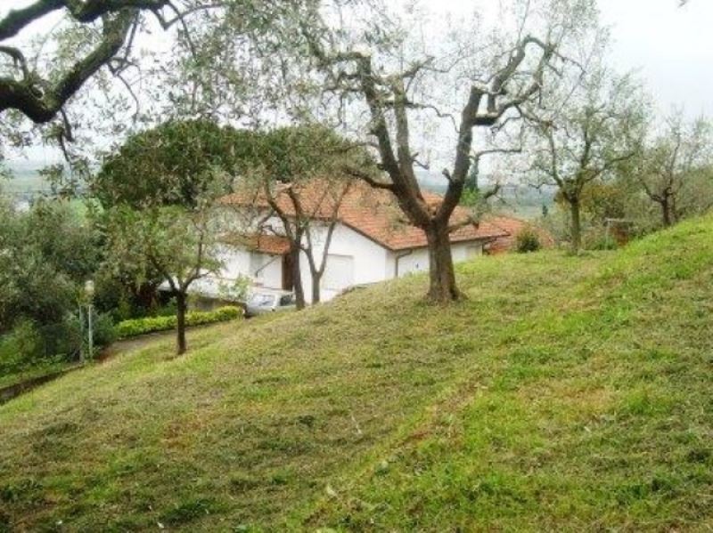 Villa Unifamiliare - Indipendente MASSAROSA vendita   via sarzanese sud agenzia immobiliare fdl