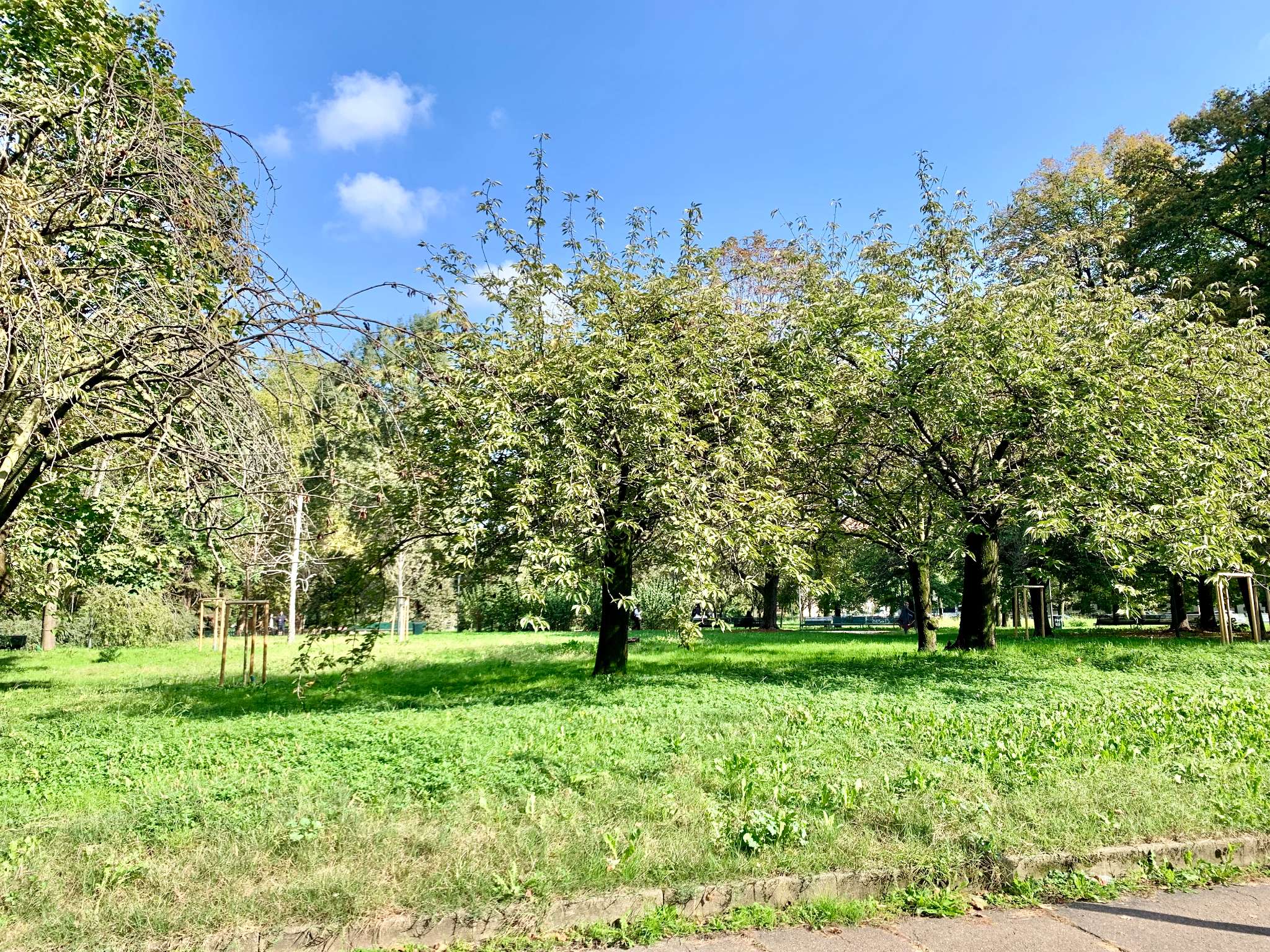 Milano Vendita APPARTAMENTO