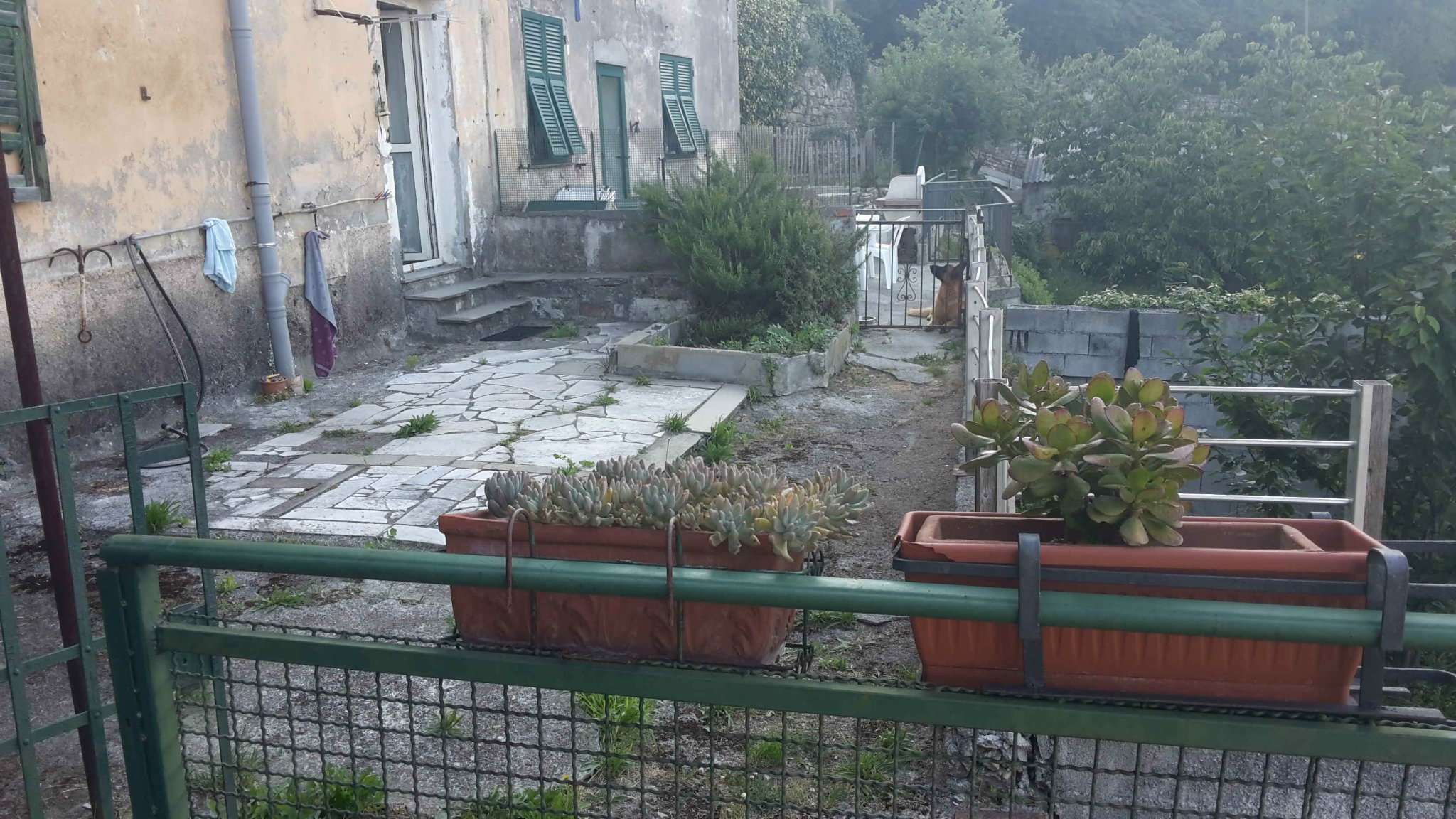 Villa Unifamiliare - Indipendente GENOVA vendita   di San Pantaleo Trading Immobiliare