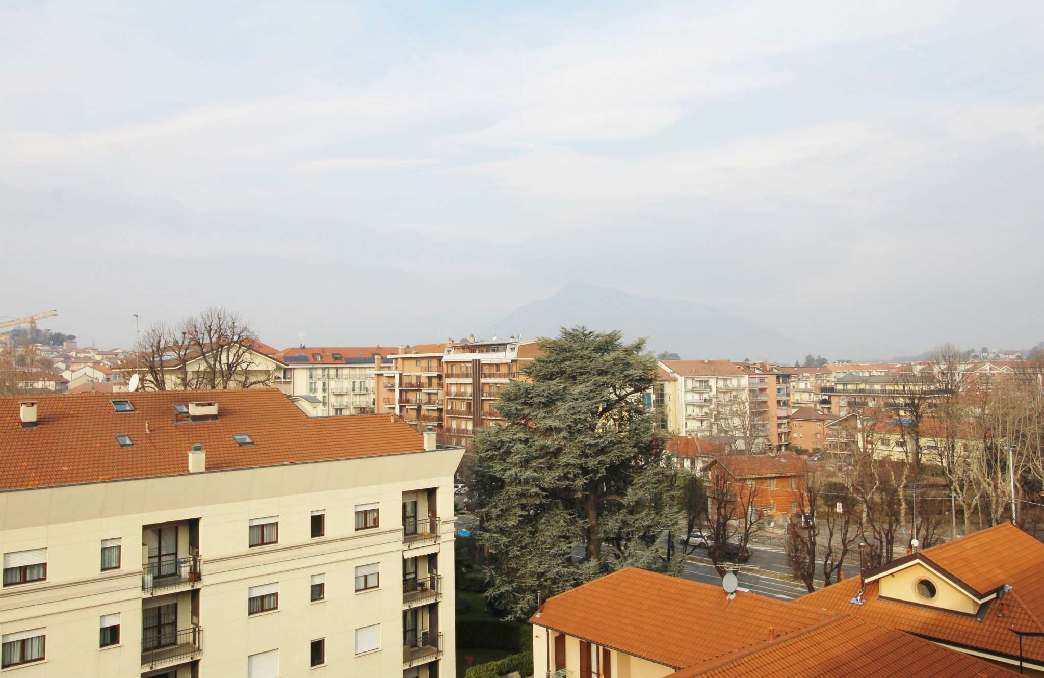 Appartamento RIVOLI vendita   Colli TEMPOCASA