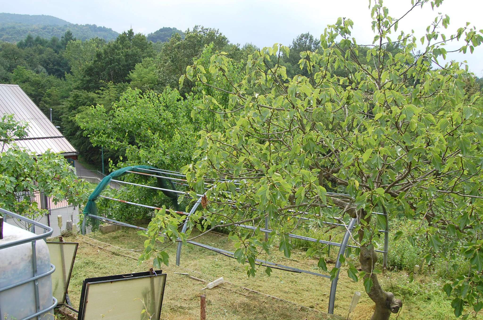 Appartamento TRANA vendita  periferica  Piemontimmobili Giaveno s.a.s.