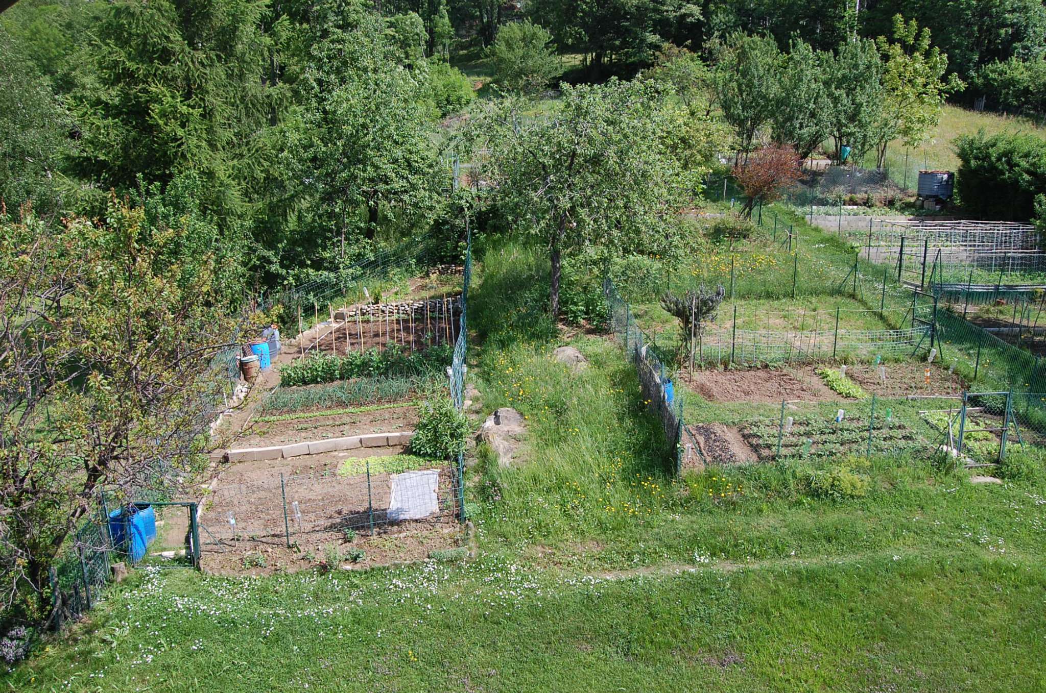 Appartamento COAZZE vendita  sangonetto sangonetto Piemontimmobili Giaveno s.a.s.