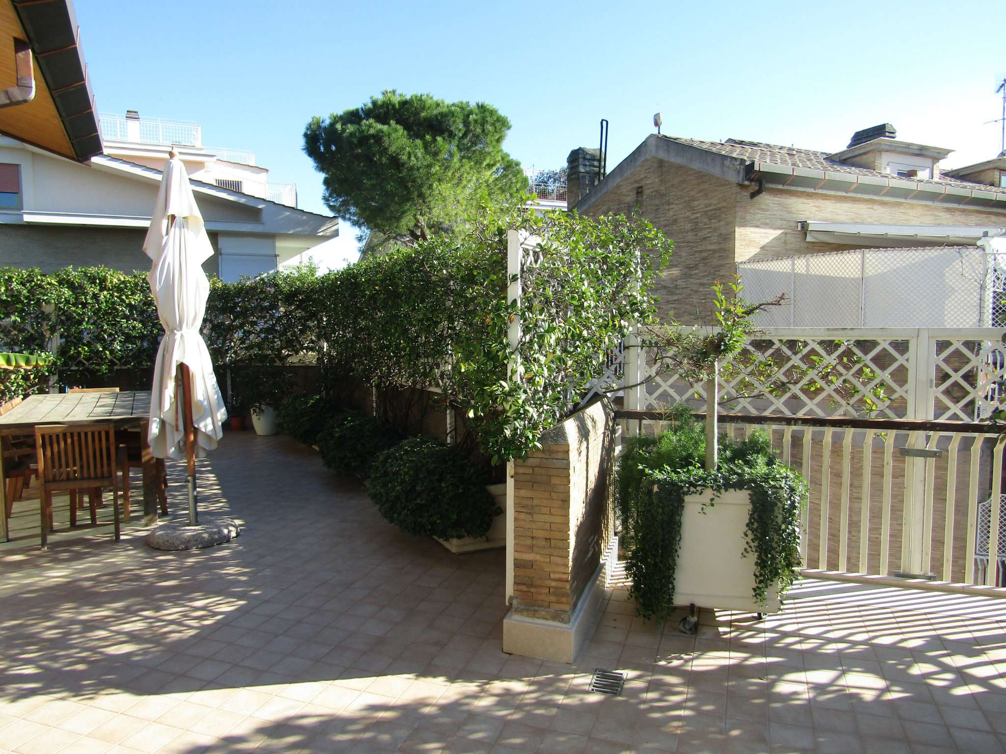 Attico ROMA affitto  FLAMINIO  AMMANNATI Meta Immobiliare