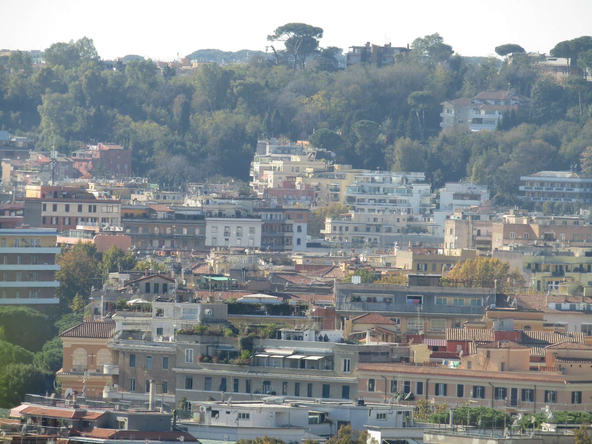 Attico ROMA affitto  FLAMINIO  AMMANNATI Meta Immobiliare