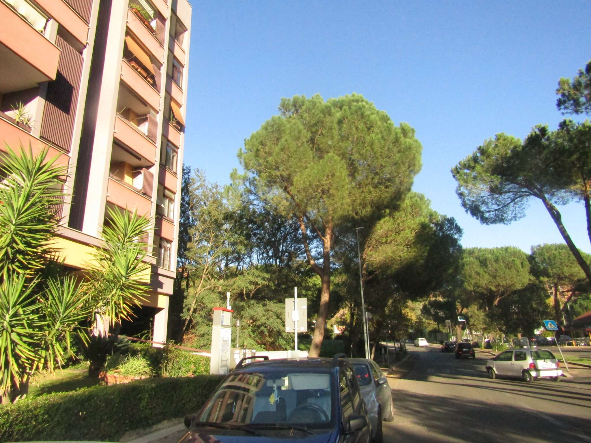 Appartamento ROMA vendita  TALENTI San Leo Meta Immobiliare