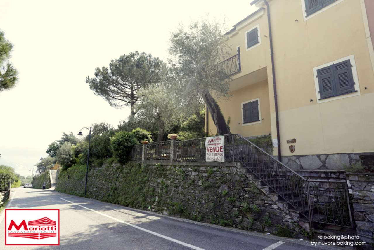 Villa Unifamiliare - Indipendente SANTA MARGHERITA LIGURE vendita   MARINAI D'ITALIA Mariotti Immobiliare