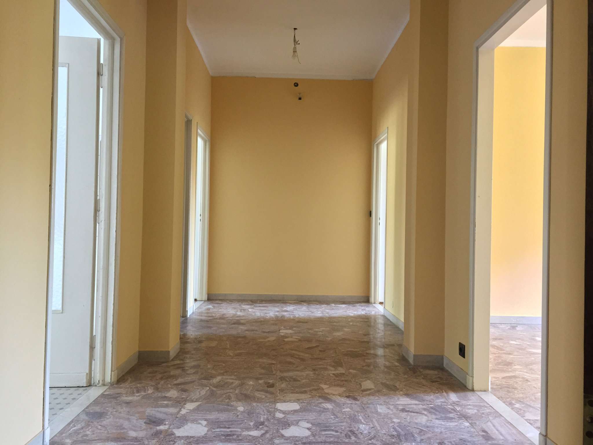 Appartamento TORINO affitto  PARELLA Domodossola A.D.P. S.A.S. Agenzia Immobiliare