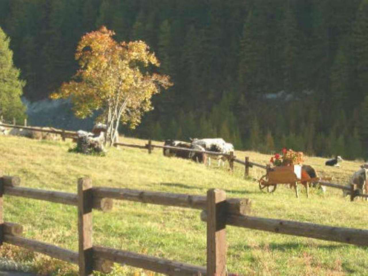 Appartamento SAUZE DI CESANA vendita   Sestriere Vialatteacase