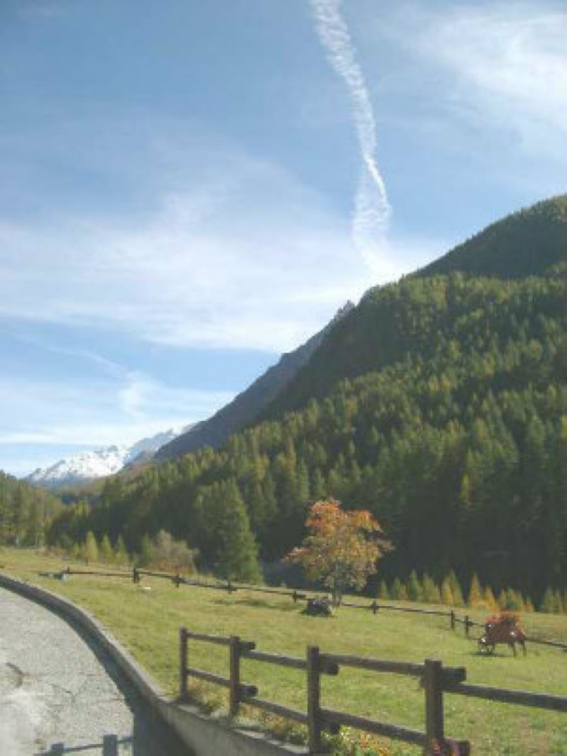 Appartamento SAUZE DI CESANA vendita   Sestriere Vialatteacase