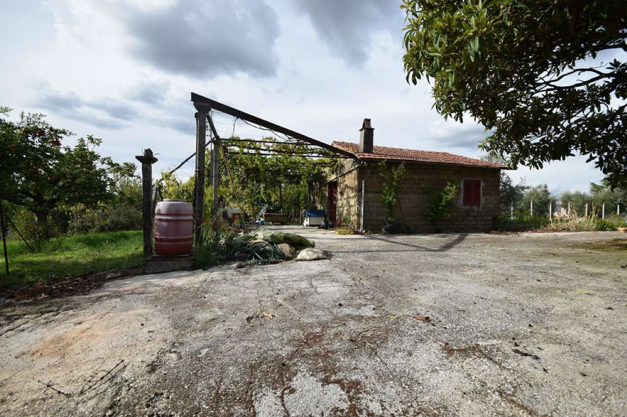 Villa Unifamiliare - Indipendente ZAGAROLO vendita   Colle Mozzo Vecchioni immobiliare