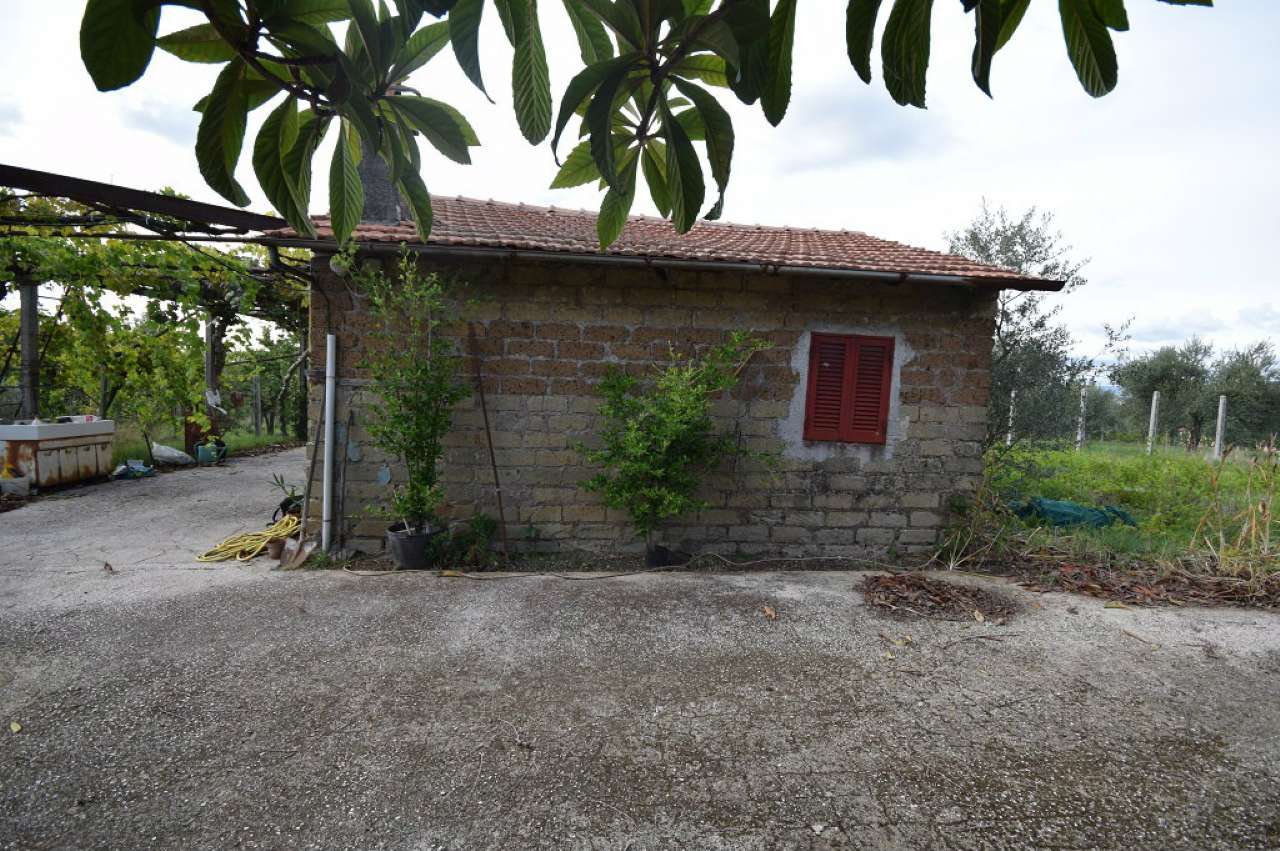 Villa Unifamiliare - Indipendente ZAGAROLO vendita   Colle Mozzo Vecchioni immobiliare