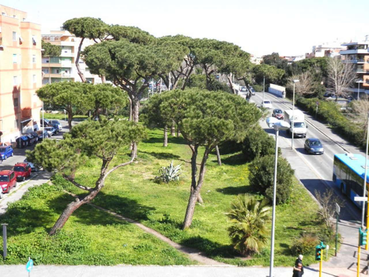 Appartamento ROMA vendita  LIDO DI OSTIA LEVANTE Paolo Orlando STUDIO IMMOBILIARE ERCOLI