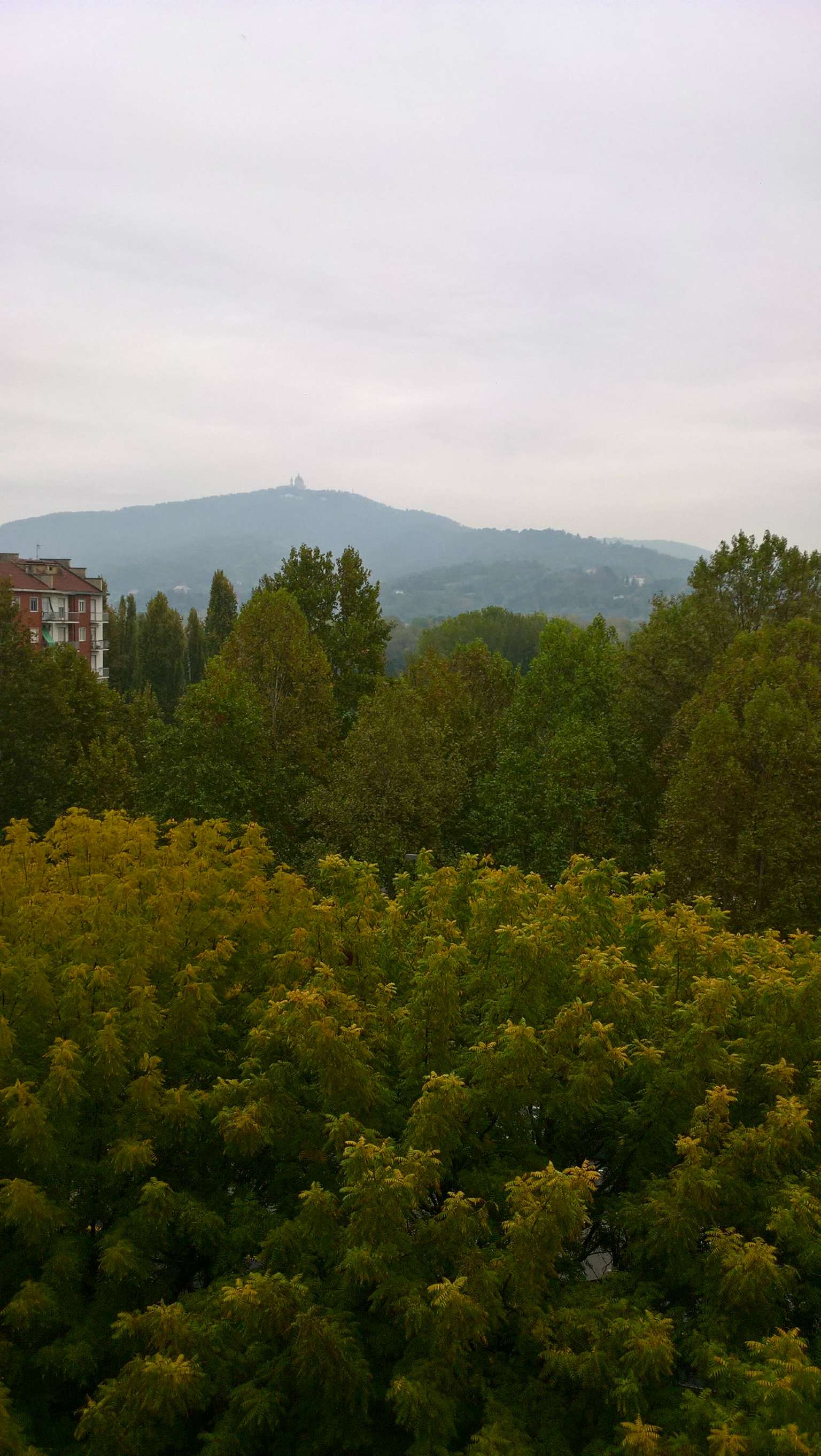  torino vendita quart: regio parco ardesia immobiliare