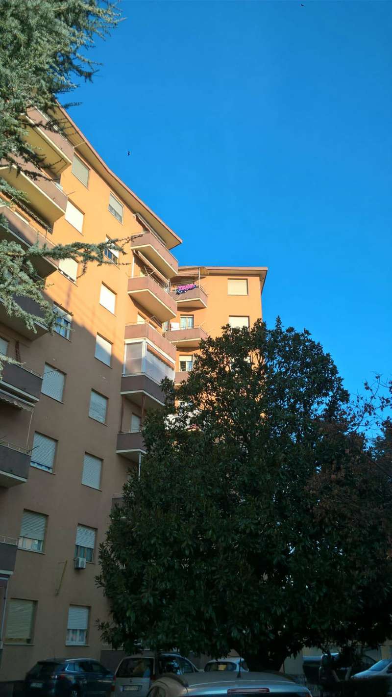  torino vendita quart: mirafiori sud ardesia immobiliare