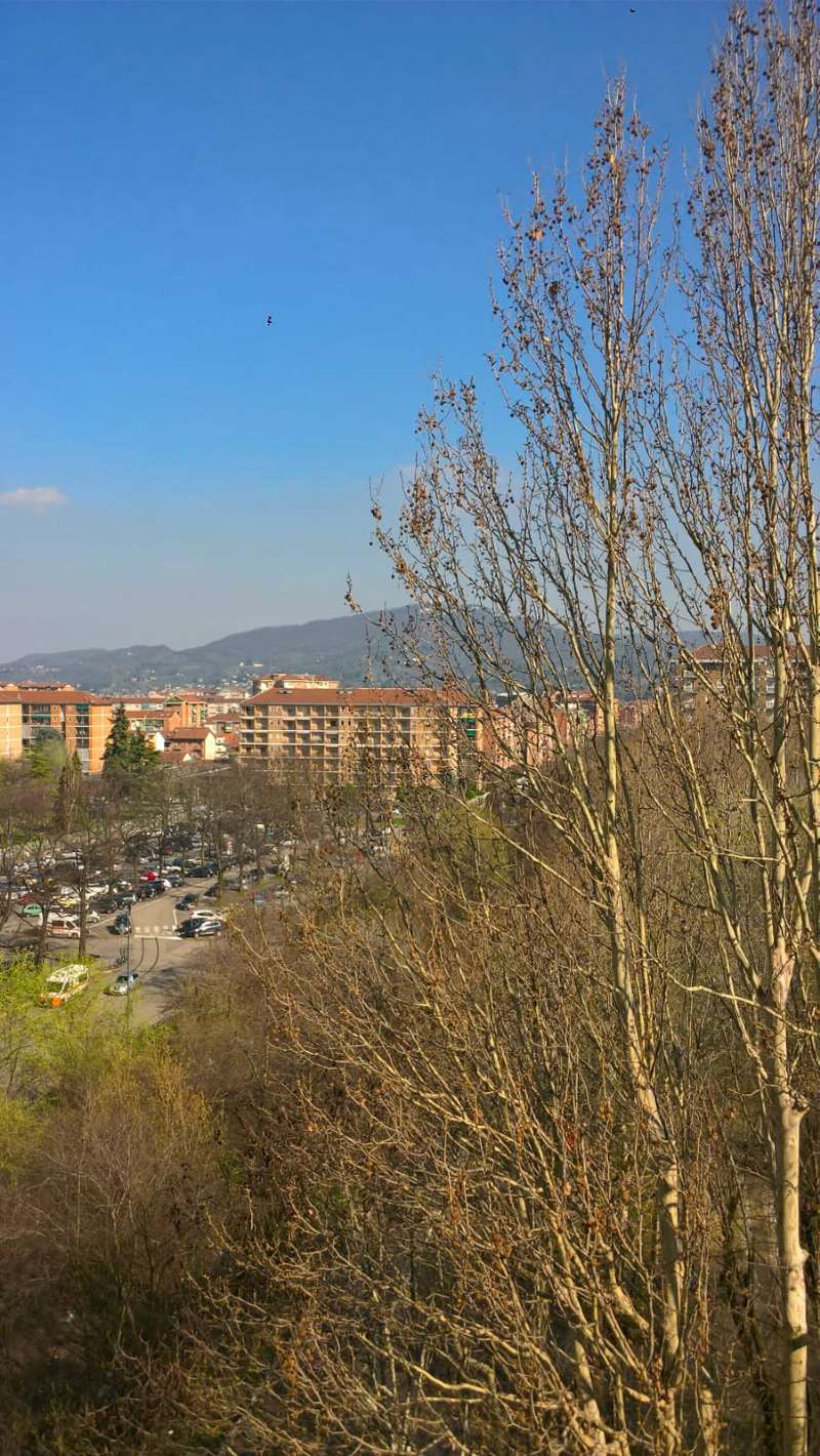  torino vendita quart: falchera ardesia immobiliare