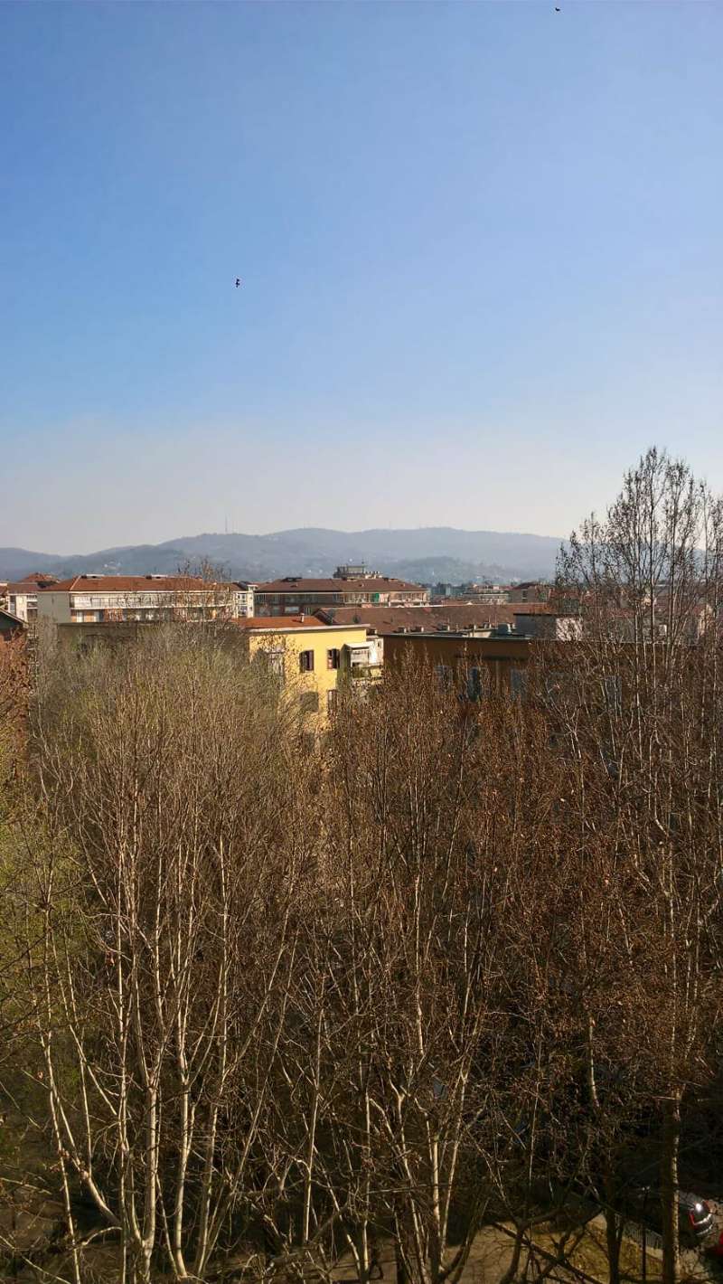 Appartamento TORINO vendita  FALCHERA monte rosa Ardesia Immobiliare