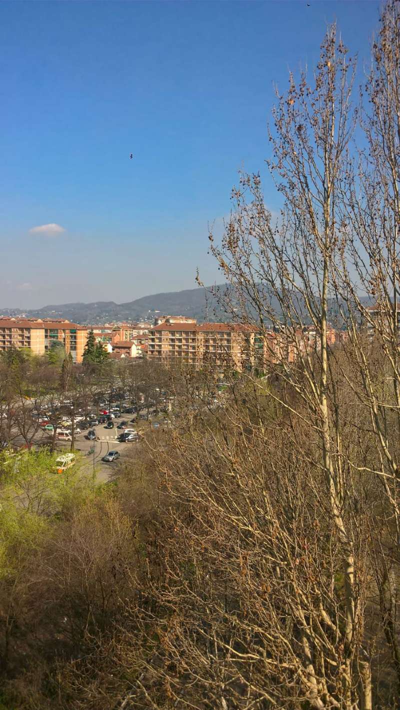 Appartamento TORINO vendita  FALCHERA monte rosa Ardesia Immobiliare