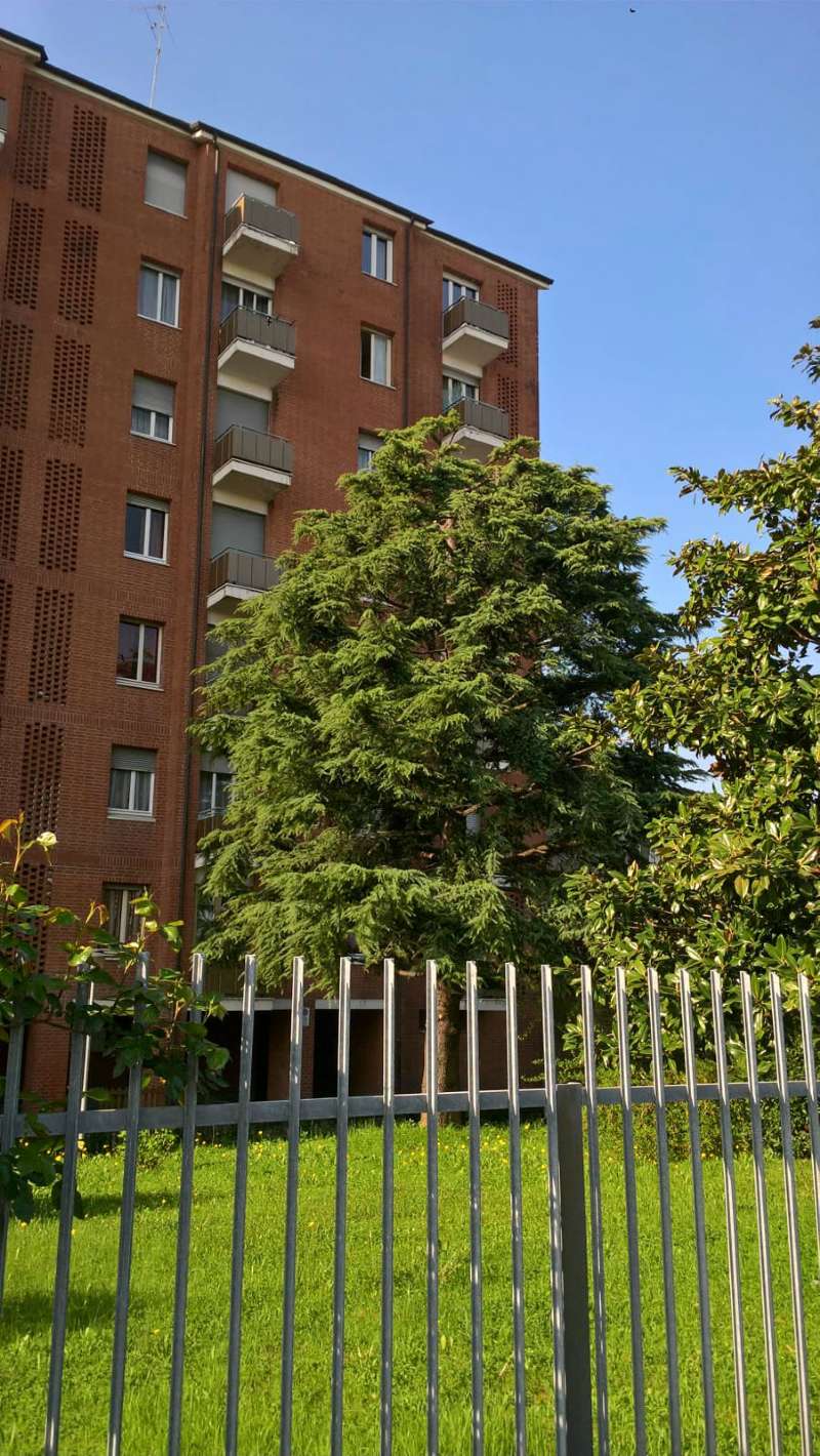 Appartamento TORINO vendita  LUCENTO ferrera Ardesia Immobiliare