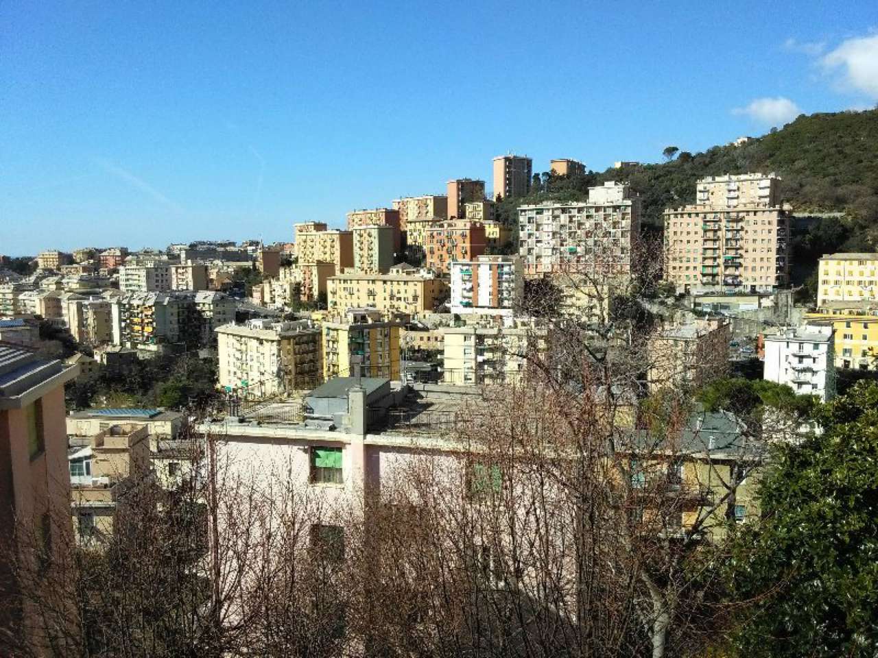  genova affitto quart: borgoratti studio immobiliare dott.ssa cristina rampino