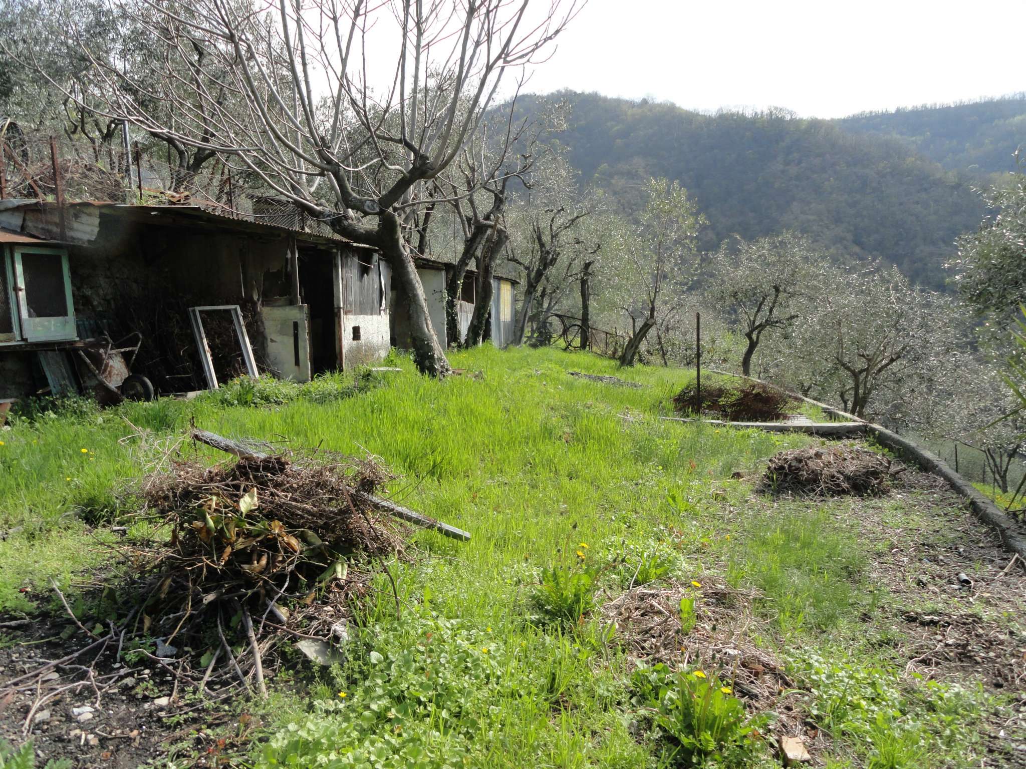 Rustico - Cascina GENOVA vendita  STRUPPA di creto Studio Immobiliare Dott.ssa Cristina Rampino